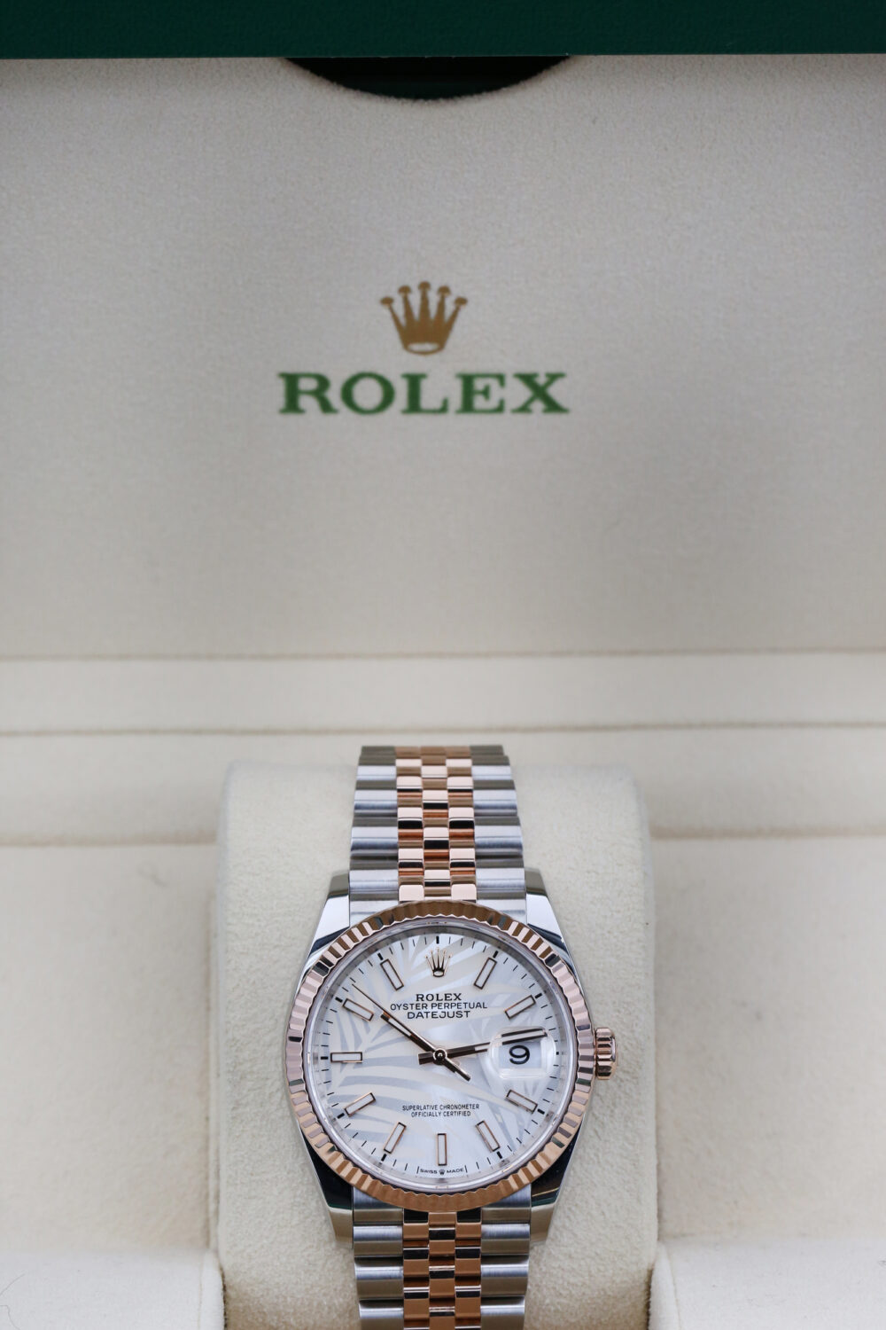 Rolex 126231 Palm Dial DATEJUST 36mm 2023 - Image 4